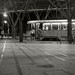 Tram Le Photo 18
