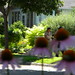 Jill Swan Photo 19