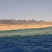 Mohamed Sheikh Photo 32