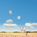 Sylvia Silver Photo 16