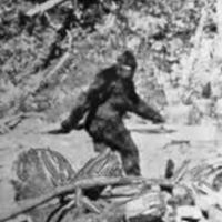Robert Perdue Photo 22