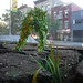 Sherri Lyons Photo 12