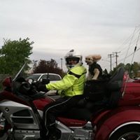 Kathy Barnard Photo 31