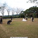 Debbie Ritz Photo 8