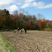 Marcia Fields Photo 14