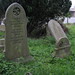 Ann Burrows Photo 31