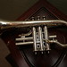 Mark Parsons Photo 33