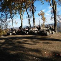 Tim Maple Photo 8