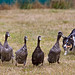 Jeff Borders Photo 15