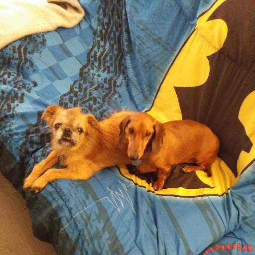 Barbara Gibbs Photo 16