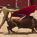 Julio Benitez Photo 3
