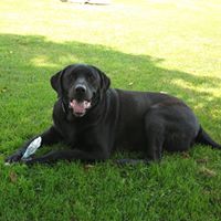 Vickie Thompson Photo 17