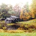 Floyd Mills Photo 13