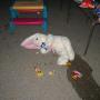Glenn Farris Photo 16