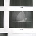 Della Douglas Photo 14
