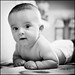 Steve Little Photo 46