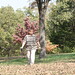 Linda Ingalls Photo 14