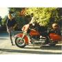 Michael Jacobson Photo 43