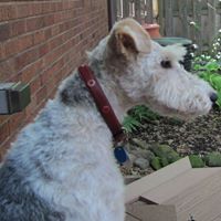 Susan Bayles Photo 5