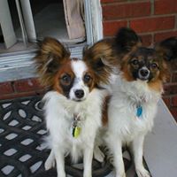 William Neville Photo 22