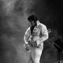 Richard Vickers Photo 34
