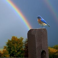Delores Mcdonald Photo 12