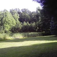 Paula Huebner Photo 7