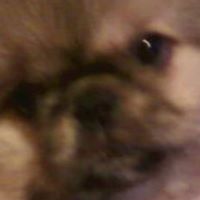 Janice Little Photo 14