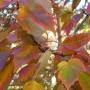 Ann Barton Photo 14