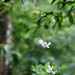 April Snow Photo 34