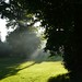 Dawn Coburn Photo 18