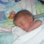 Donna Maynard Photo 27
