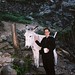 Anne Harrison Photo 14