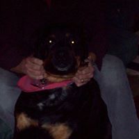 Shelley Kelley Photo 35
