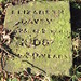 Elizabeth Davey Photo 10