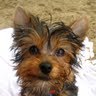 Jill Zheng Photo 7