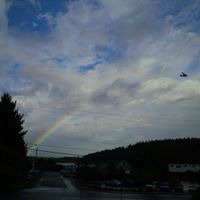 Martin Dinh Photo 21