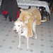 David Merlin Photo 11