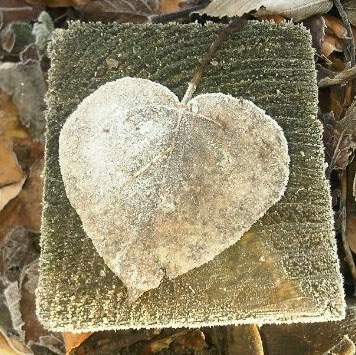 Jo Montgomery Photo 33