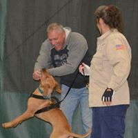 Wayne Olson Photo 28
