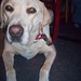 Sandy Tucker Photo 23