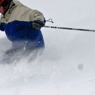 Sean Carolan Photo 9