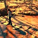 Alisa Cross Photo 14