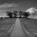 Ronnie Hill Photo 15
