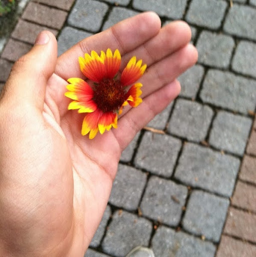Michael Flowers Photo 14