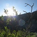 Mark Mccauley Photo 5