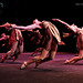 Nicole Cote Photo 36