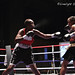 Ann Wolfe Photo 33