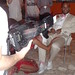 Angela Weis Photo 18