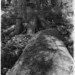Gerald Warren Photo 19